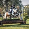italian-equestrian-federation