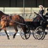 federation-luxembourgeoise-des-sports-equestres