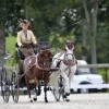 federation-suisse-des-sports-equestres