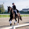 equestrian-federation-of-slovenia