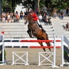 equestrian-federation-of-slovenia
