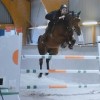 jg-horse-training - Cavalier professionnel
