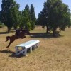 jg-horse-training commerce de chevaux