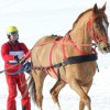 centre-equestre-des-bauges - Ski joering