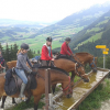 cheval-gruyeres - Stage equitation en Suisse