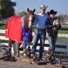 reining horse association