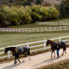 green-gates-resort-for-horses-espagne