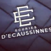 Ecuries d'Ecaussinnes Ecuries d'Ecaussinnes
