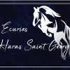 Les écuries du Haras Saint-Georges