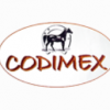 Codimex Horse (2)