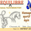 L-equilibre - massage equin