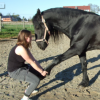 Pauline Flabat - Kinesitherapeute equin