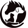 Vétérinaire pour chevaux et petits animaux - Ostéopathe équin