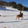 Ski Joering - manege-de-chateau-d-oex