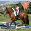 cheval-gruyeres - Stage equitation en Suisse