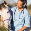 Assistant veterinaire - Formation