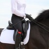 Aravolte - Pantalon Dame equitation