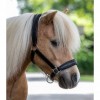 horse-stories  Nouvelle sellerie à Tournai