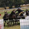 association-equestre-croatie-trg