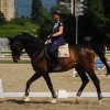 association-equestre-croatie-trg