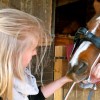 Meurice Melissa - Veterinaire pour chevaux