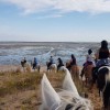 randonnées equestres en Nouvel aquitaine