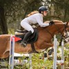 selles pour chevaux - CWD