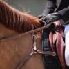 selles pour chevaux - CWD