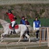horseback-archery-belgium