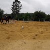 centre-equestre-du-pigeon