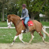 Logerot Stephanie - monitrice d equitation