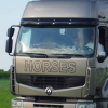 Equimatt Horse Trucks