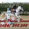 Events Photo services  - Equihorse annuaire equestre