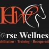 Horse Wellness