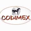 Codimex-horse