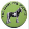 Irish Cob Society Belgie